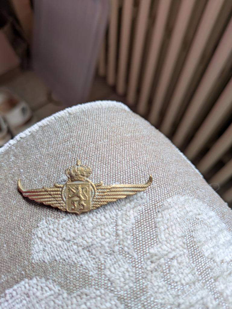 Luchtmacht baret kenteken, Verzamelen, Ophalen of Verzenden, Luchtmacht, Embleem of Badge