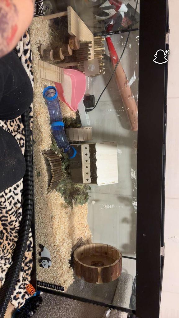 Terrarium 1m10, Ophalen, Gebruikt, Terrarium of Paludarium