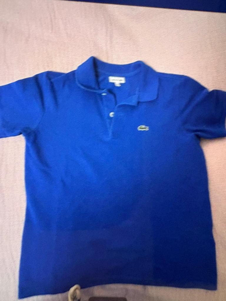Lacoste poloshirt voor meisjes van 10-12 jaar, Ophalen, Blauw, Lacoste, Overige maten