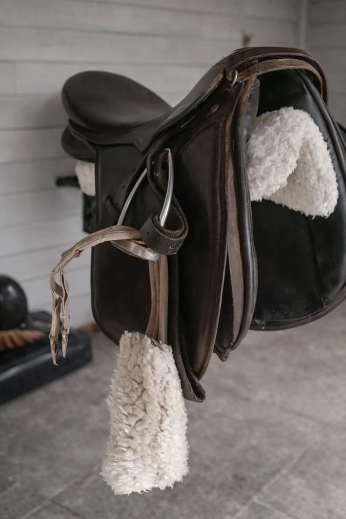 Dressuurzadel (en allerhande teugels, poetsgerief paarden), Dieren en Toebehoren, Ophalen