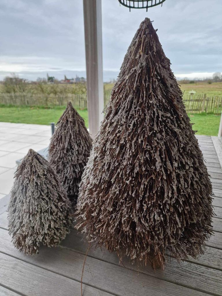 Kerstbomen in twijg - verschillende maten, Diversen, Kerst, Gebruikt, Ophalen of Verzenden