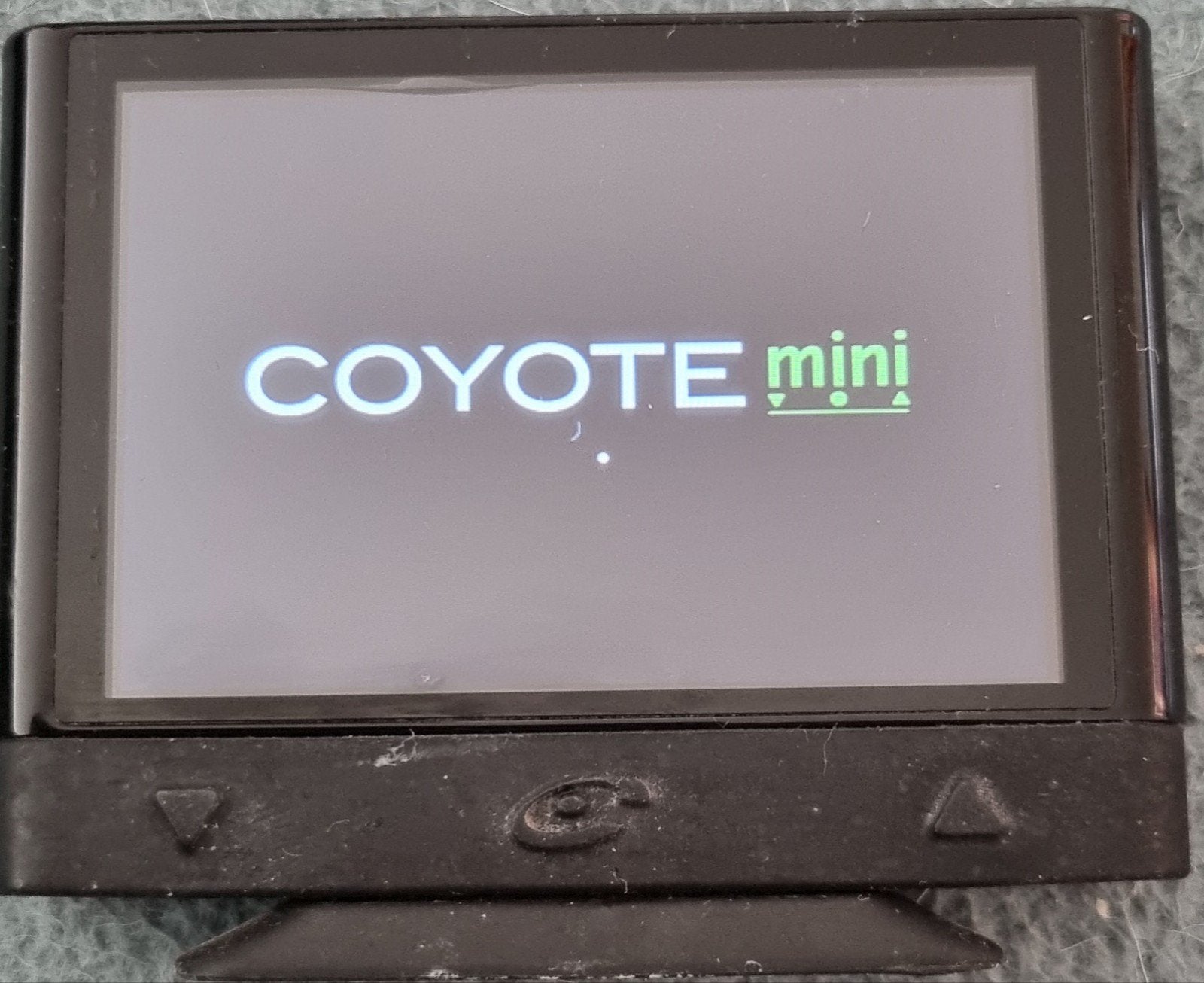 Mini coyote, Enlèvement