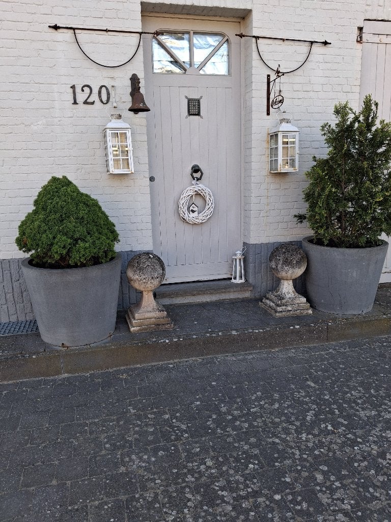 Tuinpotten XL Groot met Boompjes , 5 Stuks ,Winterhard, Tuin en Terras, Ophalen, Zo goed als nieuw