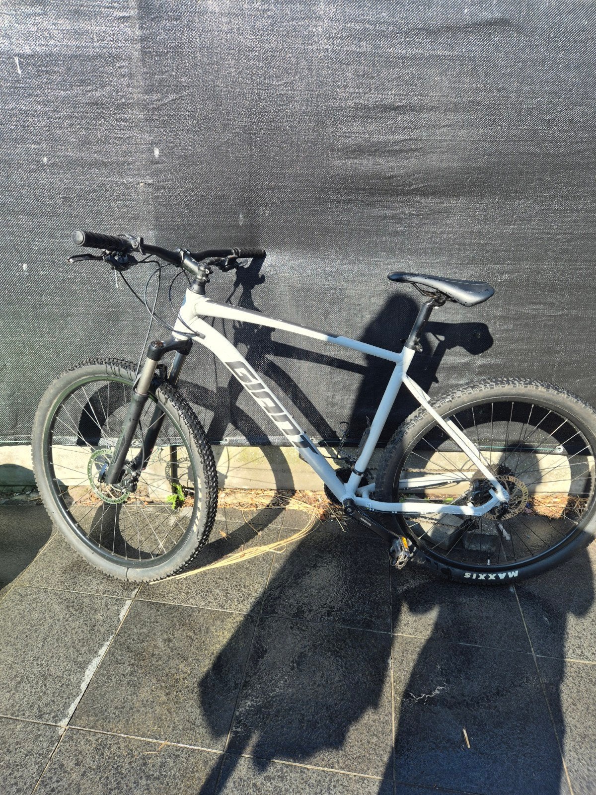 MTB gaint XL 29 inch, Fietsen en Brommers, Ophalen, Gebruikt, Heren, Giant