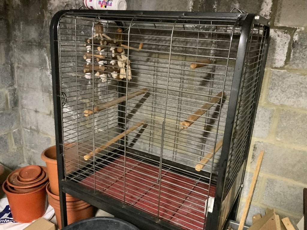 Papegaaikooi, Ophalen, Gebruikt, Metaal, Vogelkooi