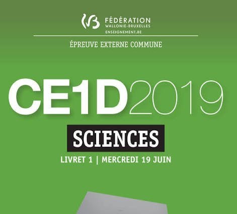 Cours particuliers – Primaire & Secondaire (CEB – CE1D), Enlèvement ou Envoi, Neuf