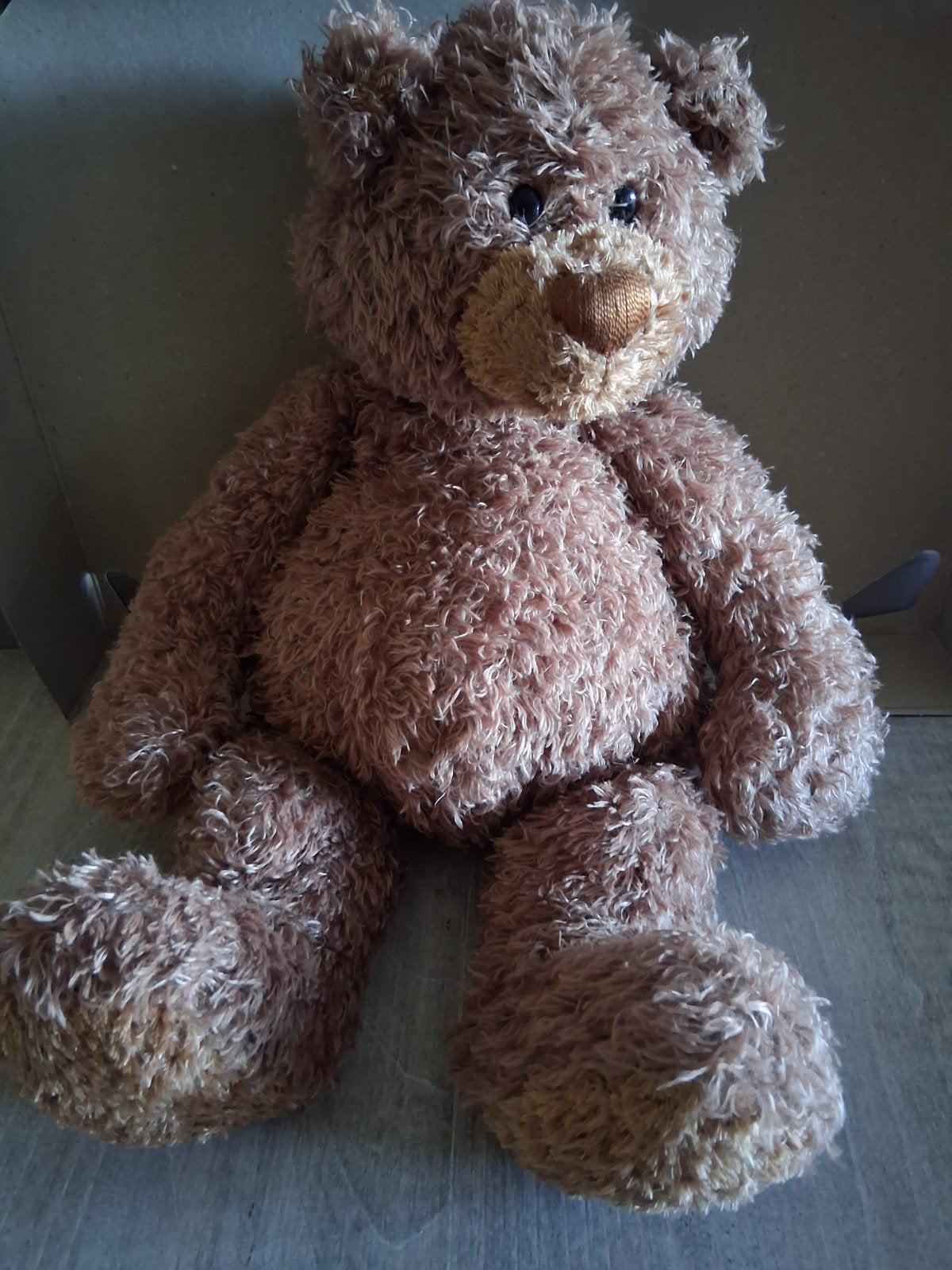 Gund beer zie foto's, Ophalen