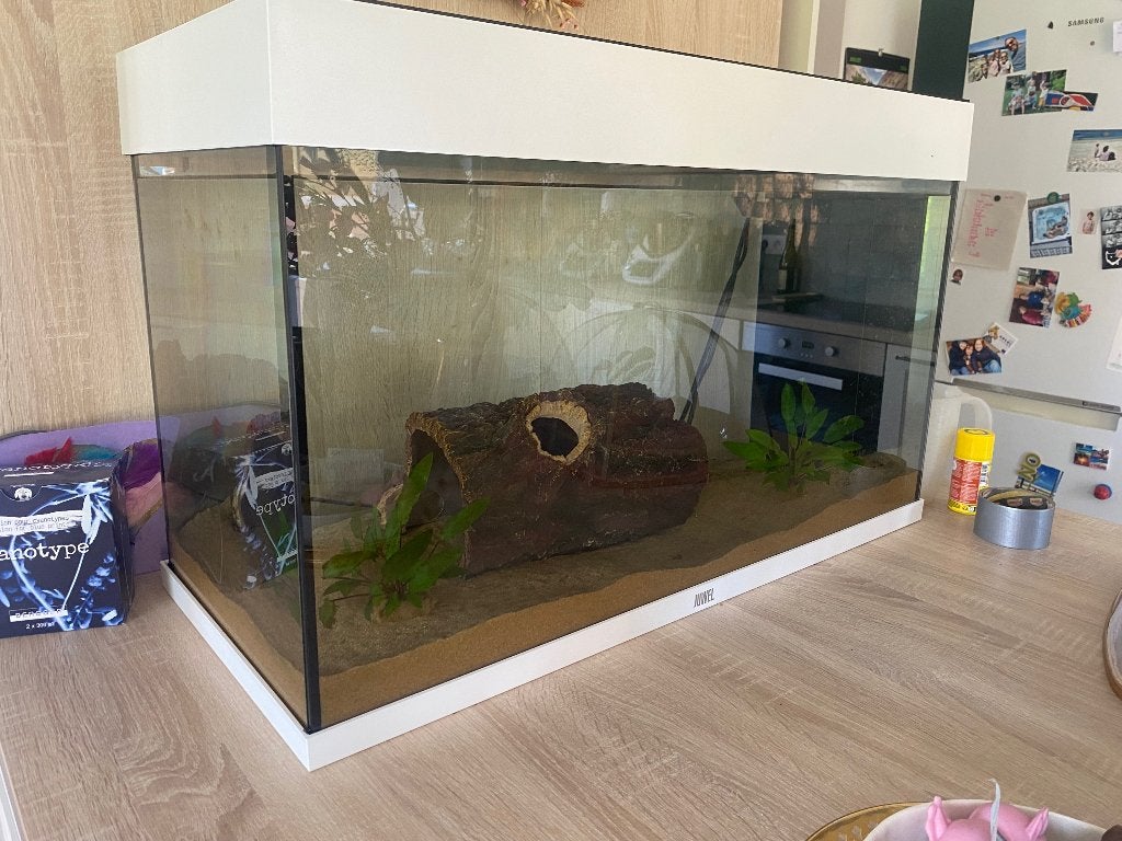Aquarium Juwel Rio 125-éclairage et chauffage inclus, Zoetwatervis