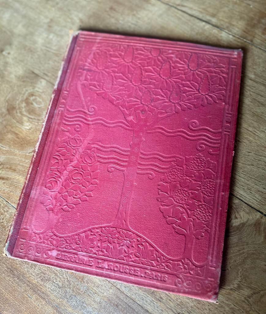 Larousse geïllustreerd, Antiek en Kunst, Ophalen of Verzenden