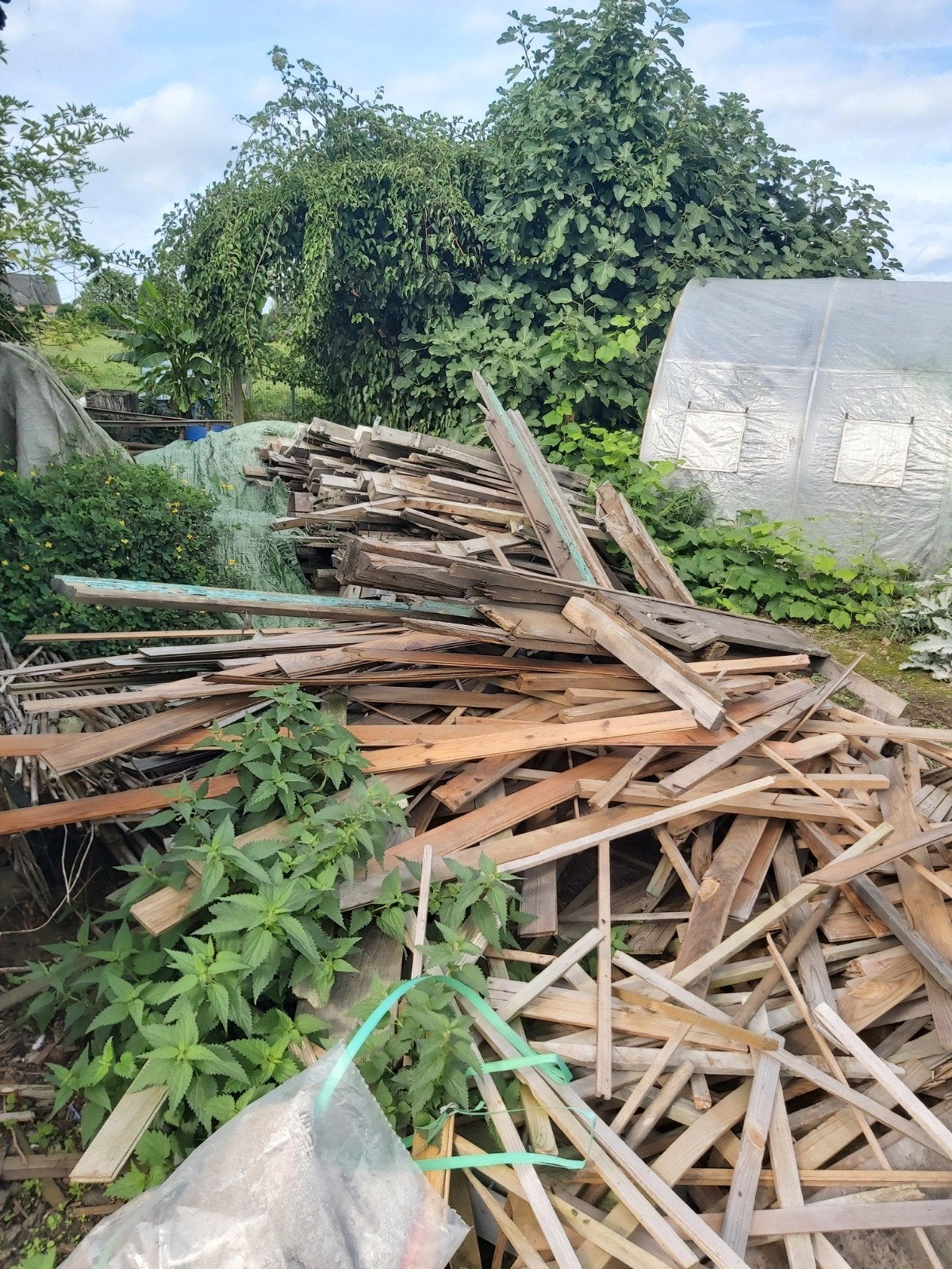 gratis brandhout, Enlèvement