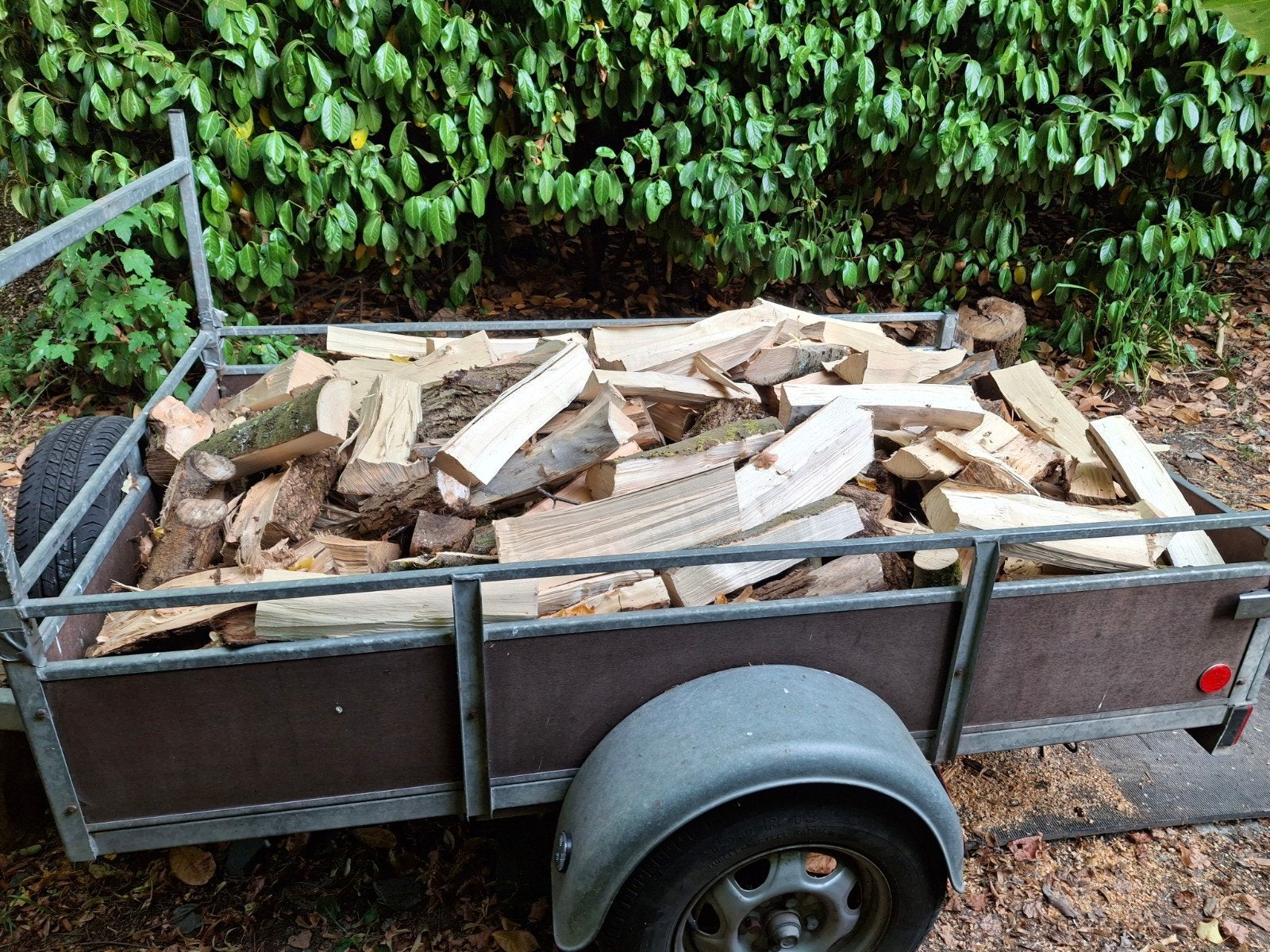 droog brandhout 1 stere, Tuin en Terras, Minder dan 3 m³, Ophalen of Verzenden, Overige houtsoorten, Blokken