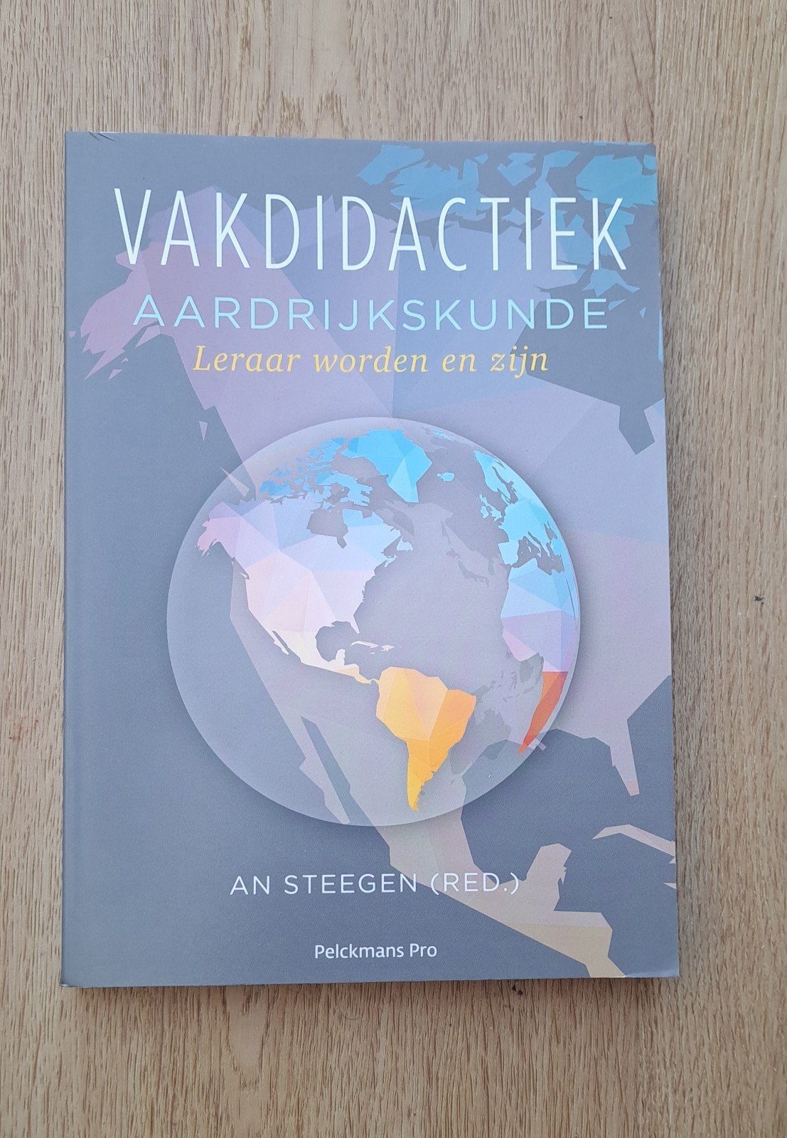 An Steegen - Vakdidactiek aardrijkskunde, Ophalen of Verzenden, Nieuw, An Steegen