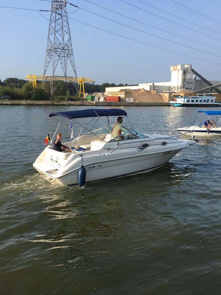 Sea Ray 250 sundancer, Watersport en Boten, Ophalen, Gebruikt, Binnenboordmotor, 6 meter of meer