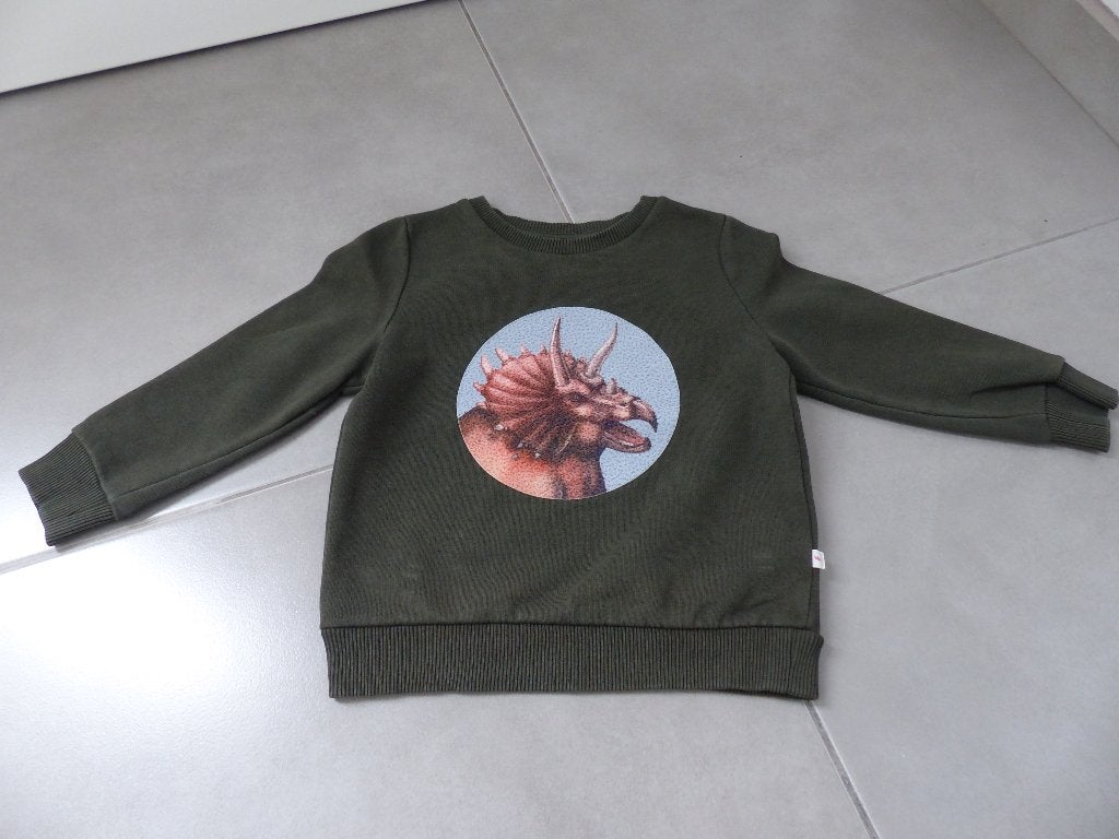 Groene trui met dino - Kidz Nation JBC - maat 98, Kinderen en Baby's, Gebruikt, Trui of Vest, JBC, Ophalen of Verzenden