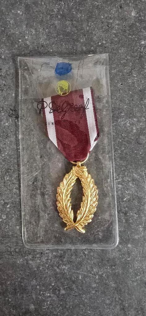 Les Palmes d'Or de l'Ordre de la Couronne, Enlèvement, Armée de terre, Ruban, Médaille ou Ailes