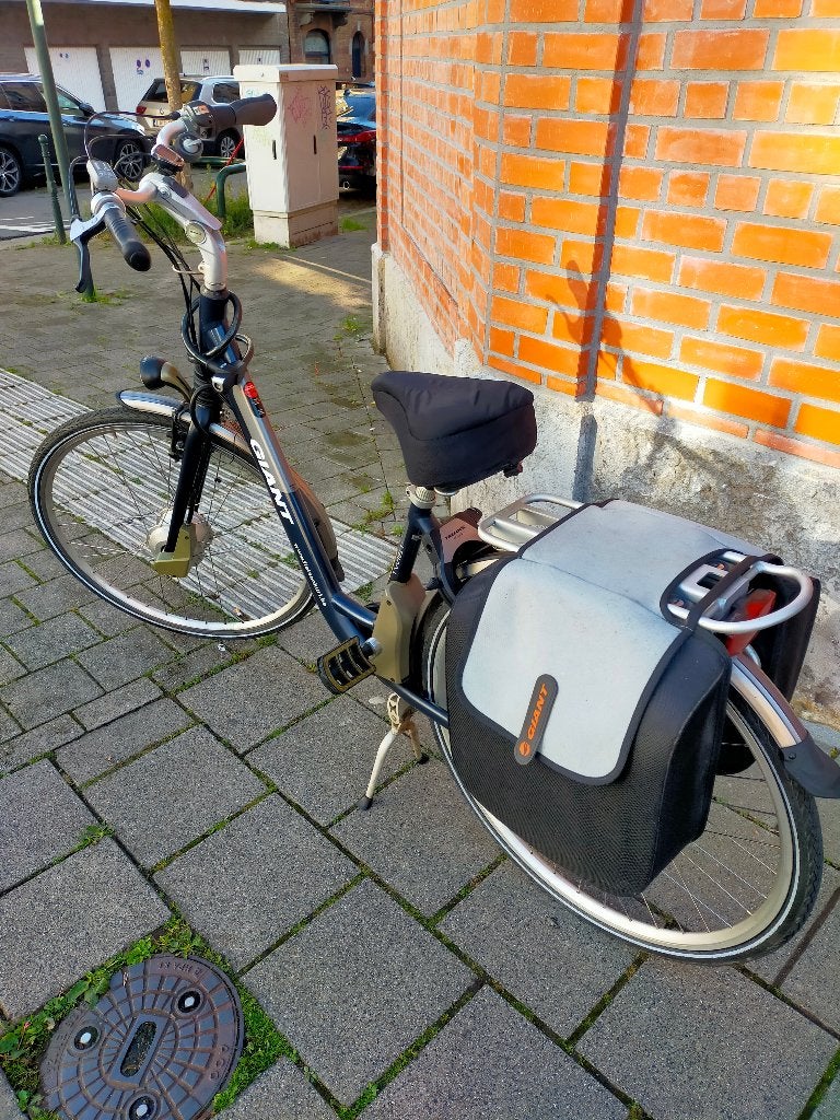 Vélo électrique Giant, Ophalen, 30 tot 50 km per accu, Giant