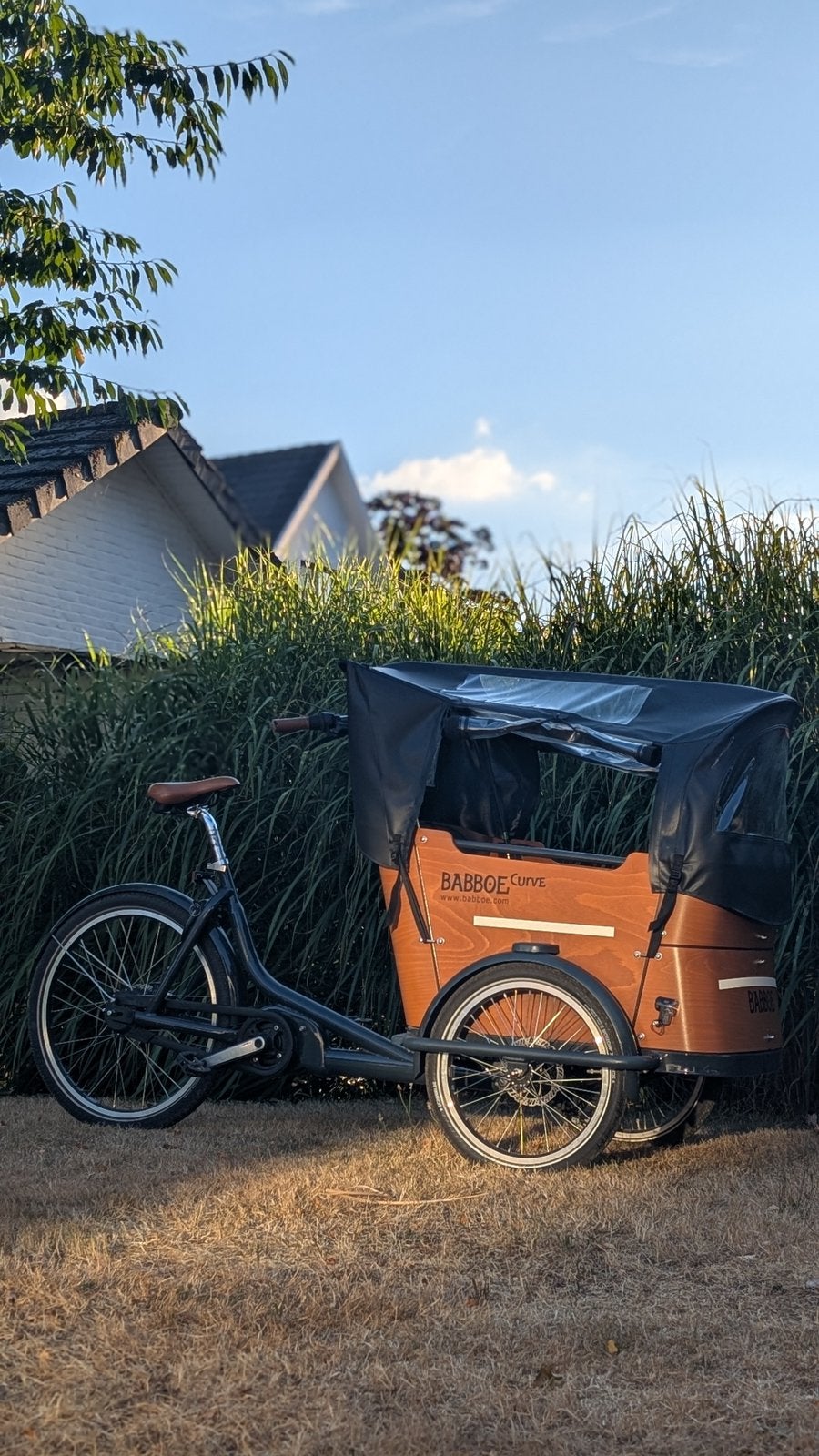Babboe elektrische bakfiets Curve, 4 kinderen of meer, Gebruikt, Elektrisch, Schijfrem