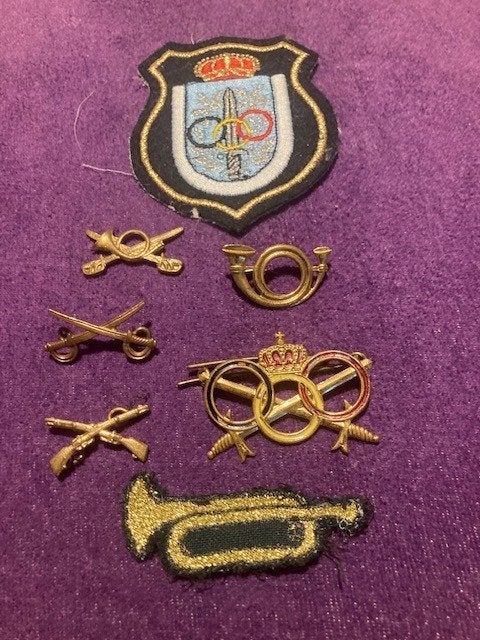 Diverse insignes (o.a. Carabiniers...), Verzamelen, Ophalen, Landmacht, Embleem of Badge