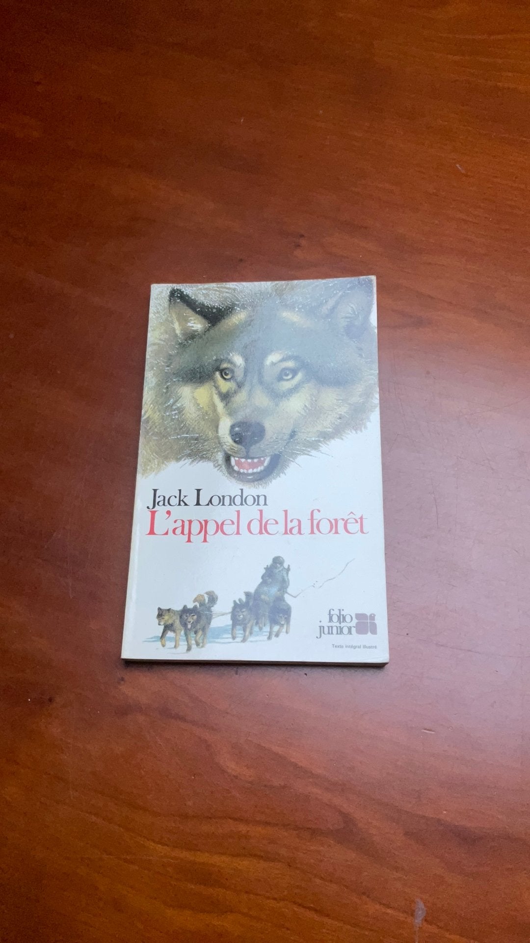 Jack London, L’appel de la forêt, Livres, Enlèvement ou Envoi, Comme neuf