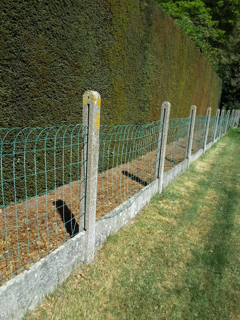 Betonnen palen en onderplaten, Ophalen