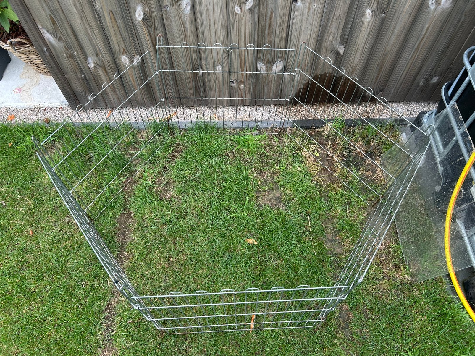 Ren knaagdier, Dieren en Toebehoren, Ophalen of Verzenden, Zo goed als nieuw, Ren, Konijn