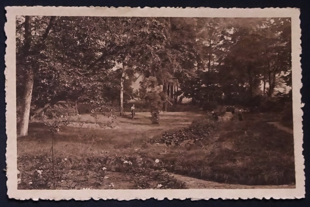 Wommelghem, Rusthuis, Zicht op het park., Ophalen of Verzenden, 1940 tot 1960, Ongelopen, Antwerpen