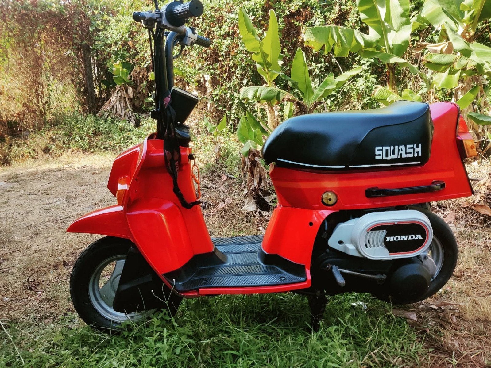 honda squash type 2 50cc, Ophalen