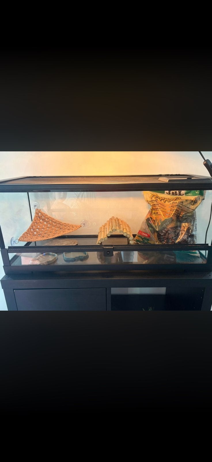 Terrarium complet, Animaux & Accessoires, Reptiles & Amphibiens | Accessoires, Comme neuf, Enlèvement