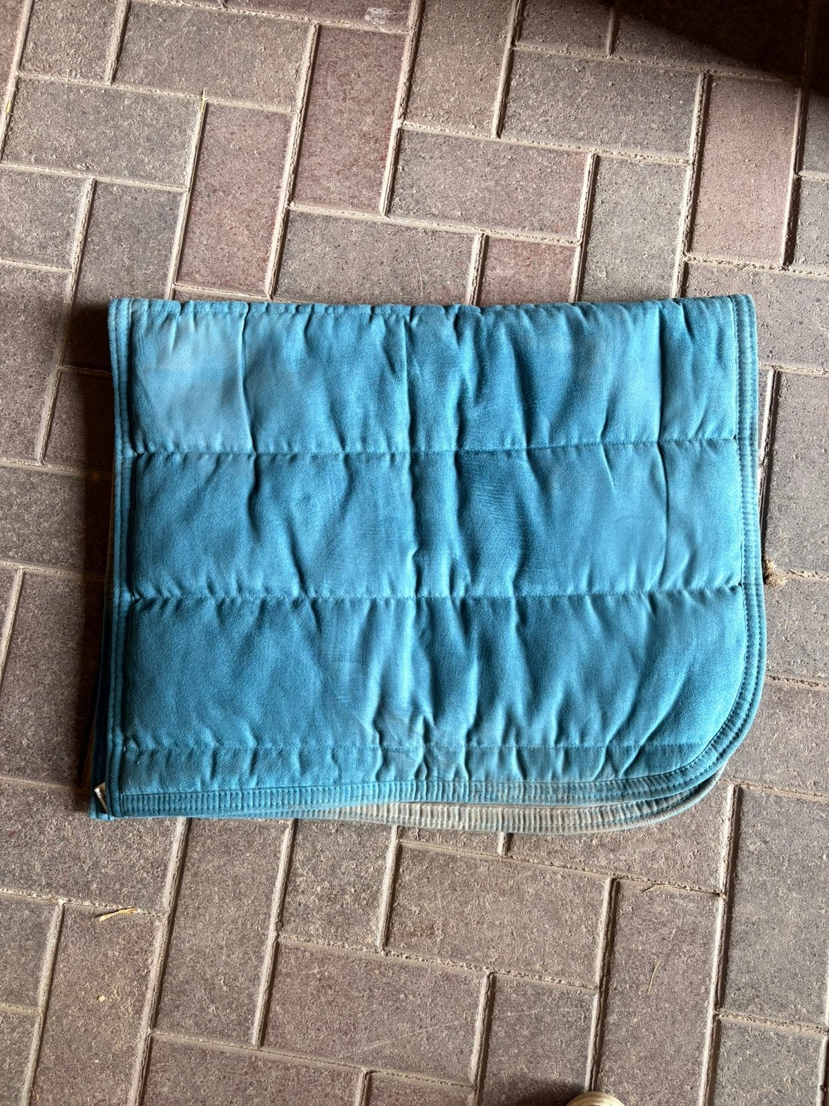 Tapis de dressage bleu full - QHP, Animaux & Accessoires, Full (L), Tapis de dressage, Bleu, QHP