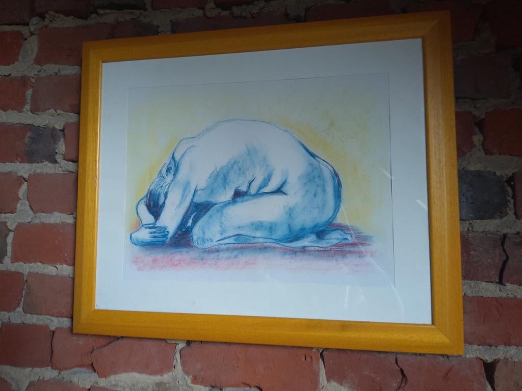 Originele ingelijste pasteltekening.49 x 39 cm., Ophalen