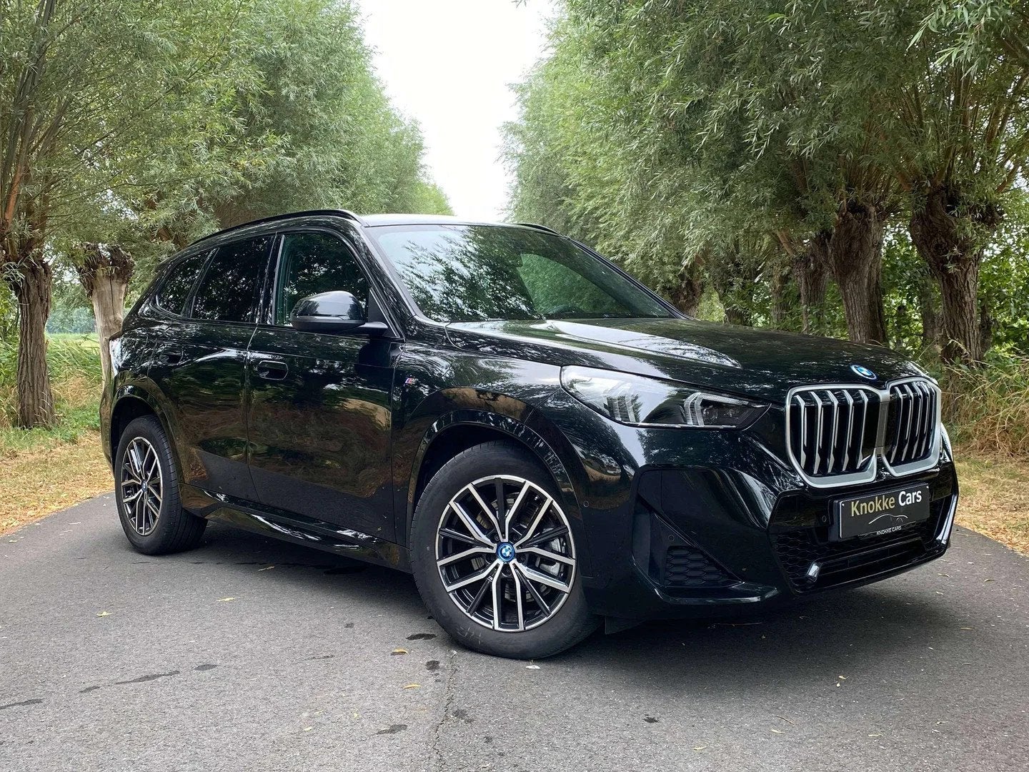 BMW X1 Verkocht,Sold,Vendu (automatique), 2430 kg, Achat, Entreprise, Alcantara