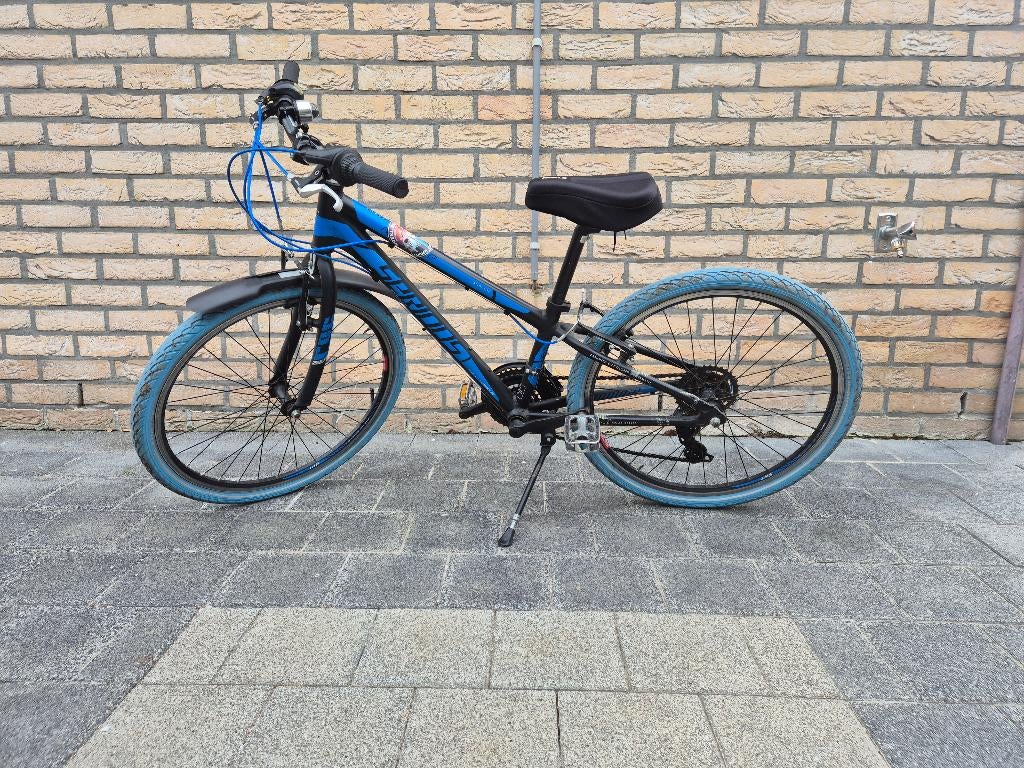 Kinderfiets, Ophalen, Gebruikt, 20 inch of meer, Serious
