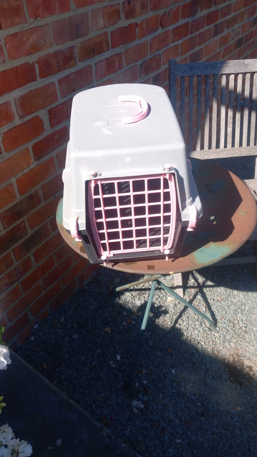 transportbox voor kleine huisdieren., Dieren en Toebehoren, Katten-accessoires, Ophalen