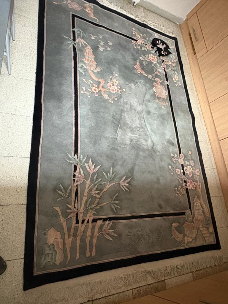 Dik stevige Chinese tapijt 300x 170, Ophalen, Zo goed als nieuw