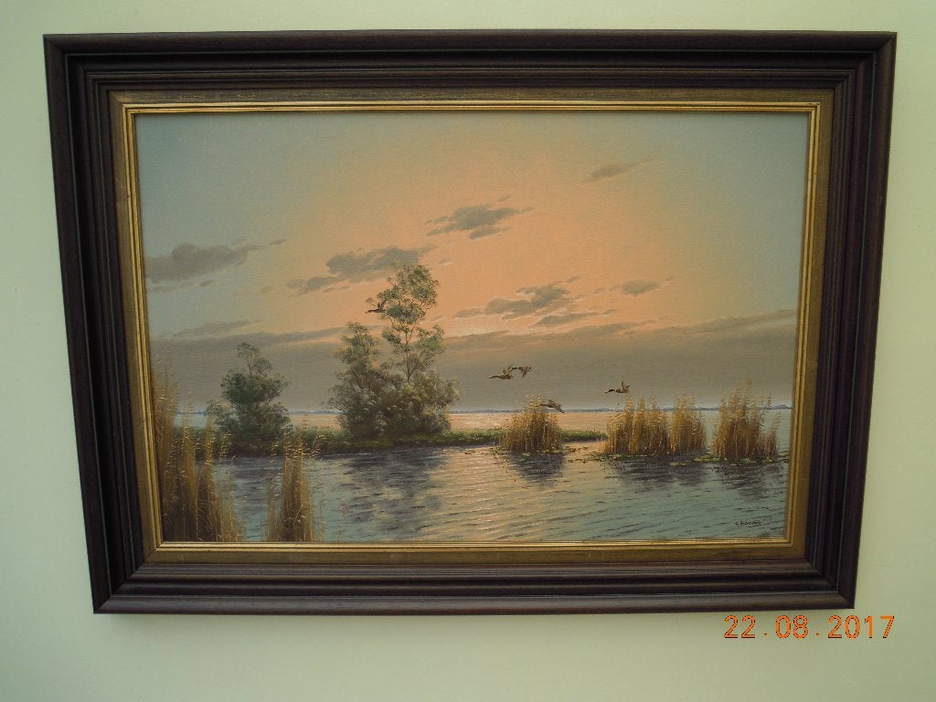 olie schilderij  (80 cm op109 cm), Antiquités & Art, Art | Peinture | Moderne, Enlèvement, Prêt à accrocher