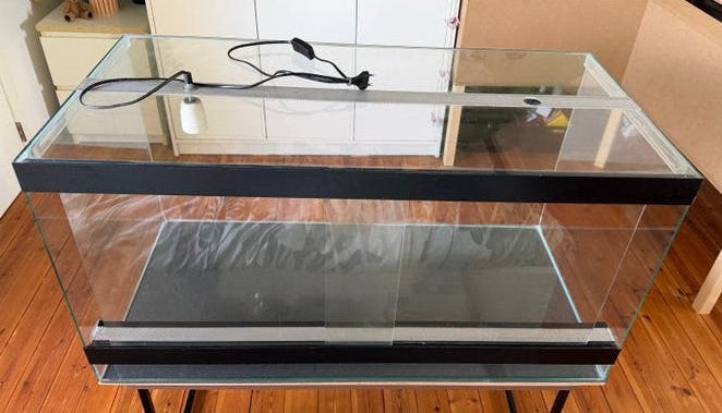 Terrarium 100x50, Animaux & Accessoires, Reptiles & Amphibiens | Accessoires, Comme neuf, Terrarium ou Paludarium, Enlèvement