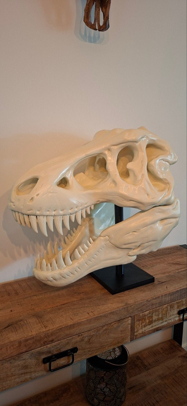 T-Rex schedel decoratie – groot & realistisch, Ophalen of Verzenden, Beige, Kunststof
