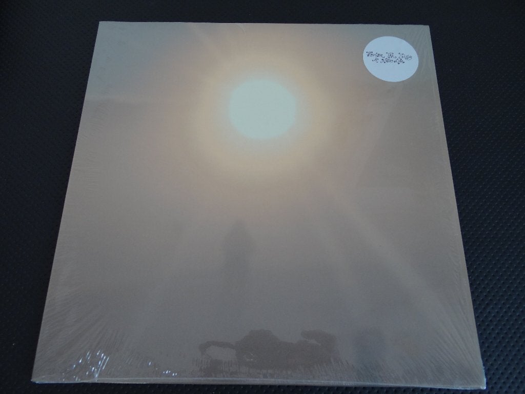 LP Florian TM Zeisig:A new Life .Ambient,Experimental.RARE!, Enlèvement ou Envoi, Édition limitée, Neuf, dans son emballage, LP