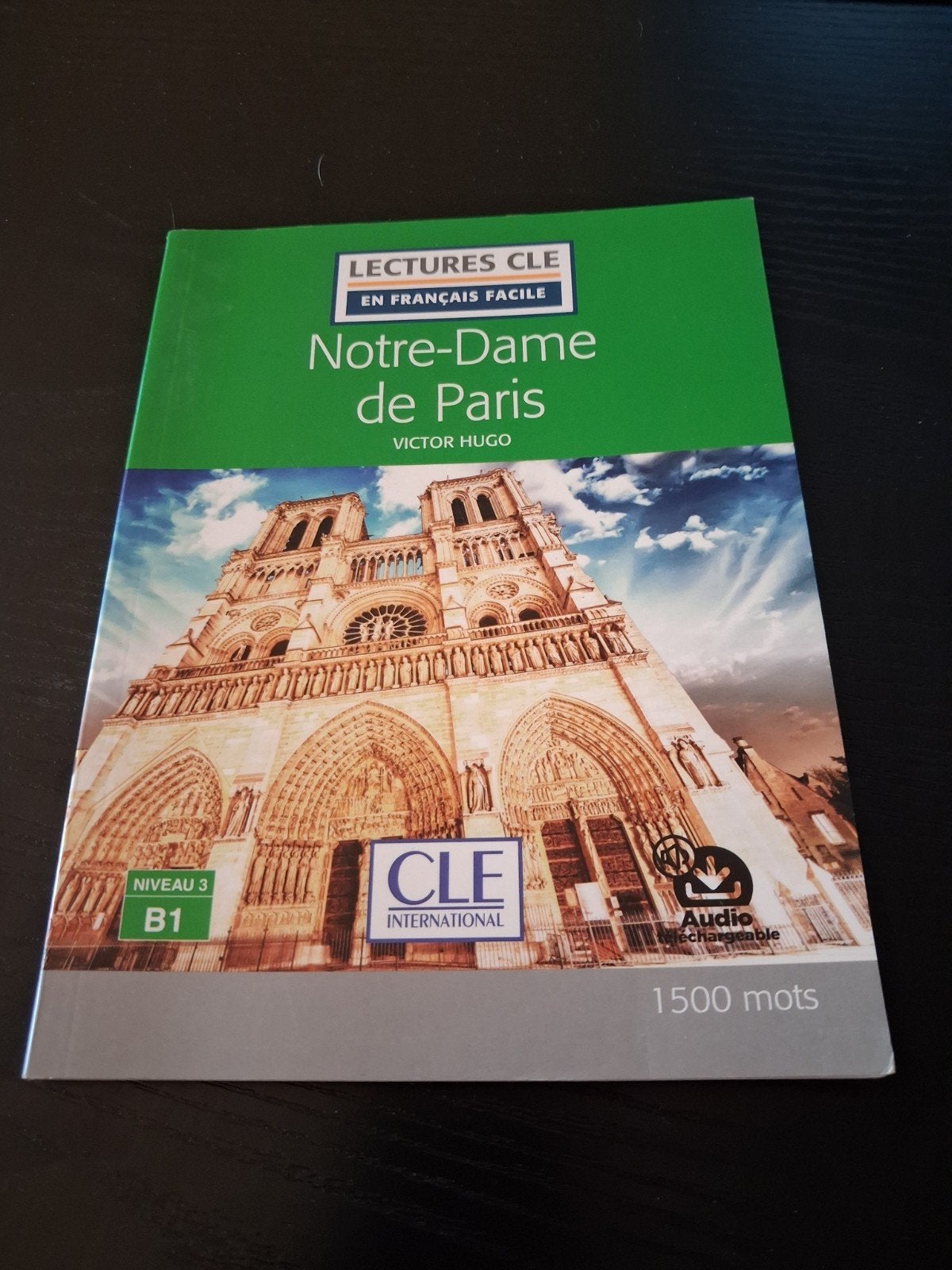 Notre-Dame de Paris, Ophalen of Verzenden, Zo goed als nieuw, Victor Hugo