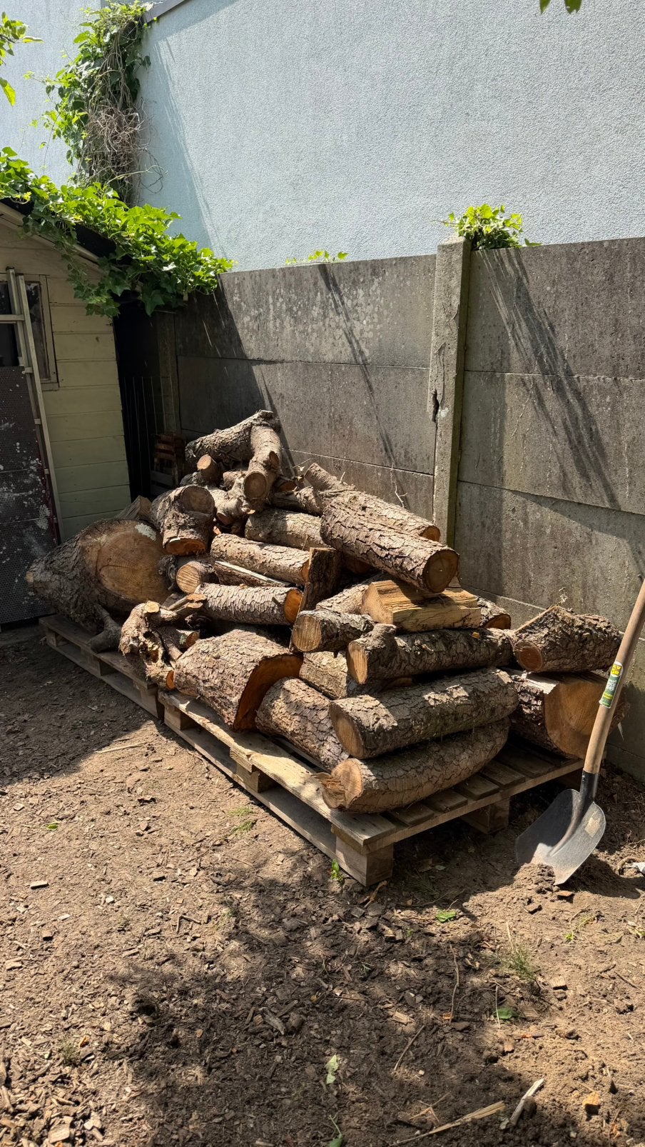 Gedroogd hout, Ophalen