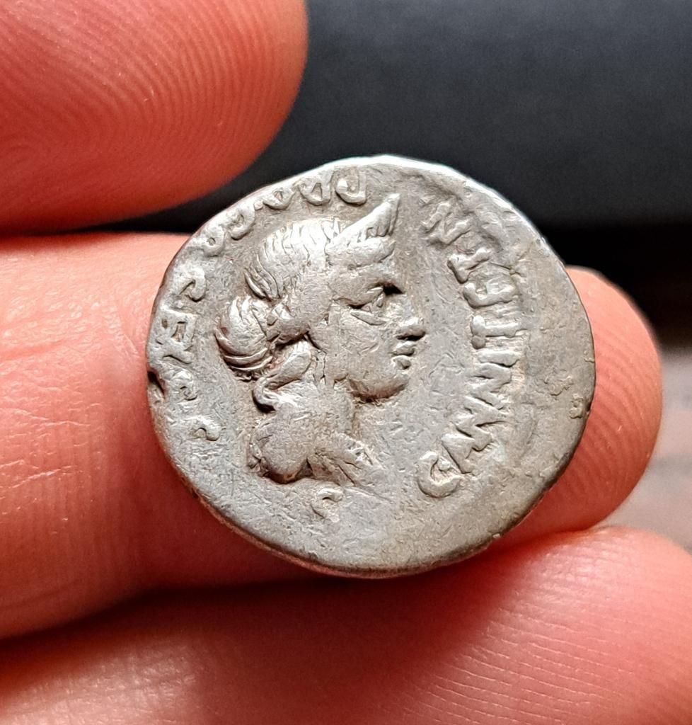 Romeinse Republiek - ANNIA 82 BC, Postzegels en Munten, Munten | Europa | Niet-Euromunten, Losse munt, Overige landen, Zilver