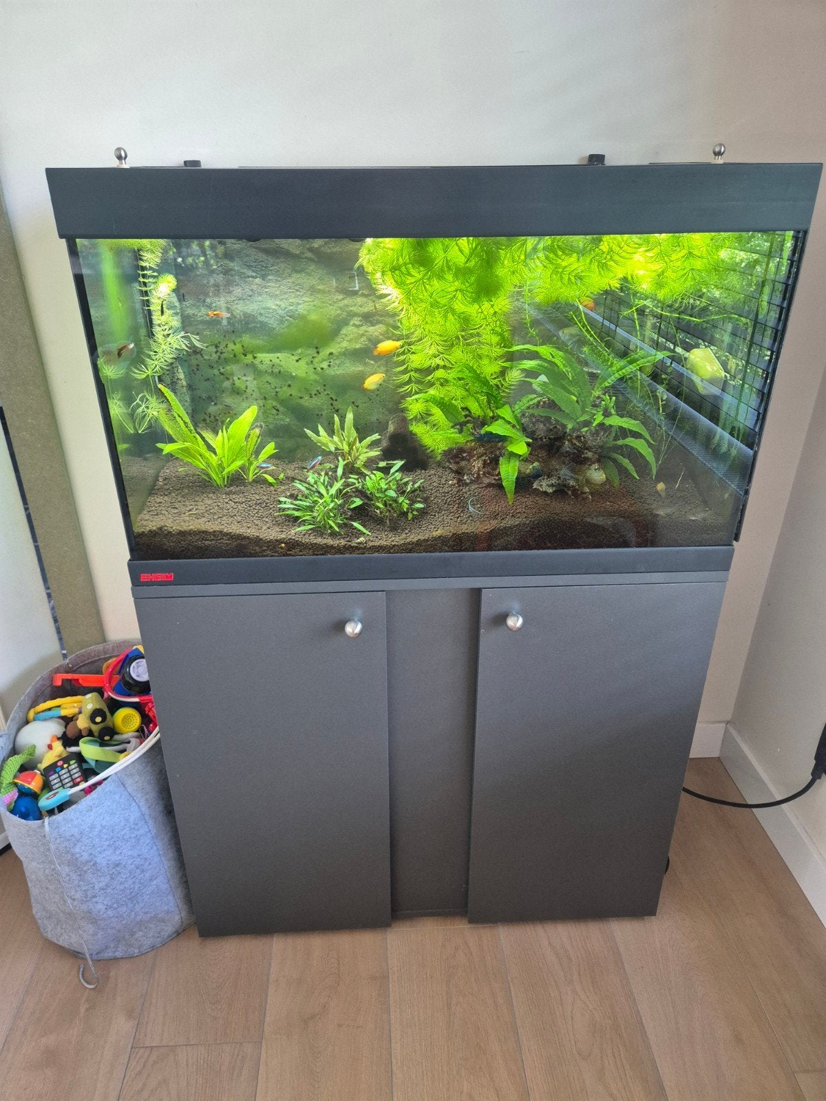 Eheim aquaria alles inbegrepen, Enlèvement, Filter, Aqua Medic