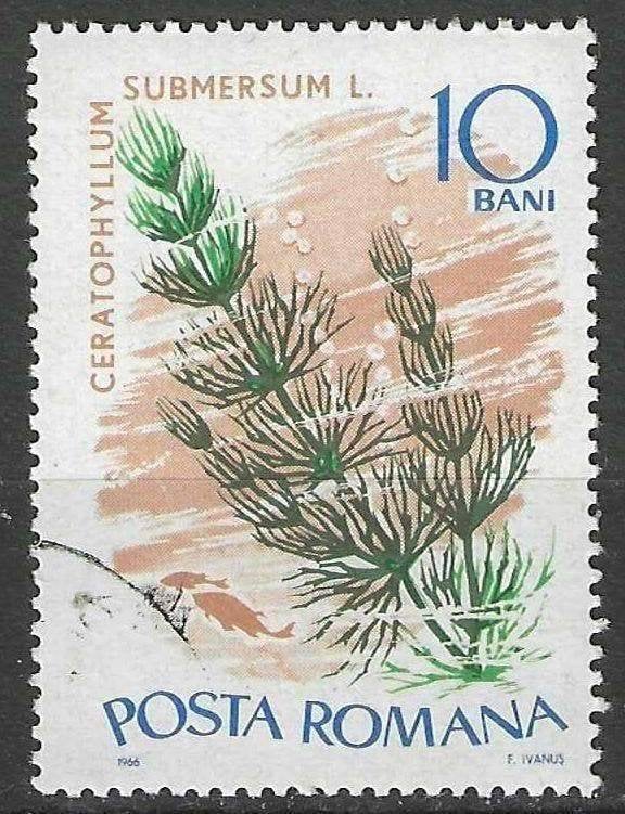 Roemenie 1966 - Yvert 2231 - Waterplanten (ST), Verzenden, Gestempeld