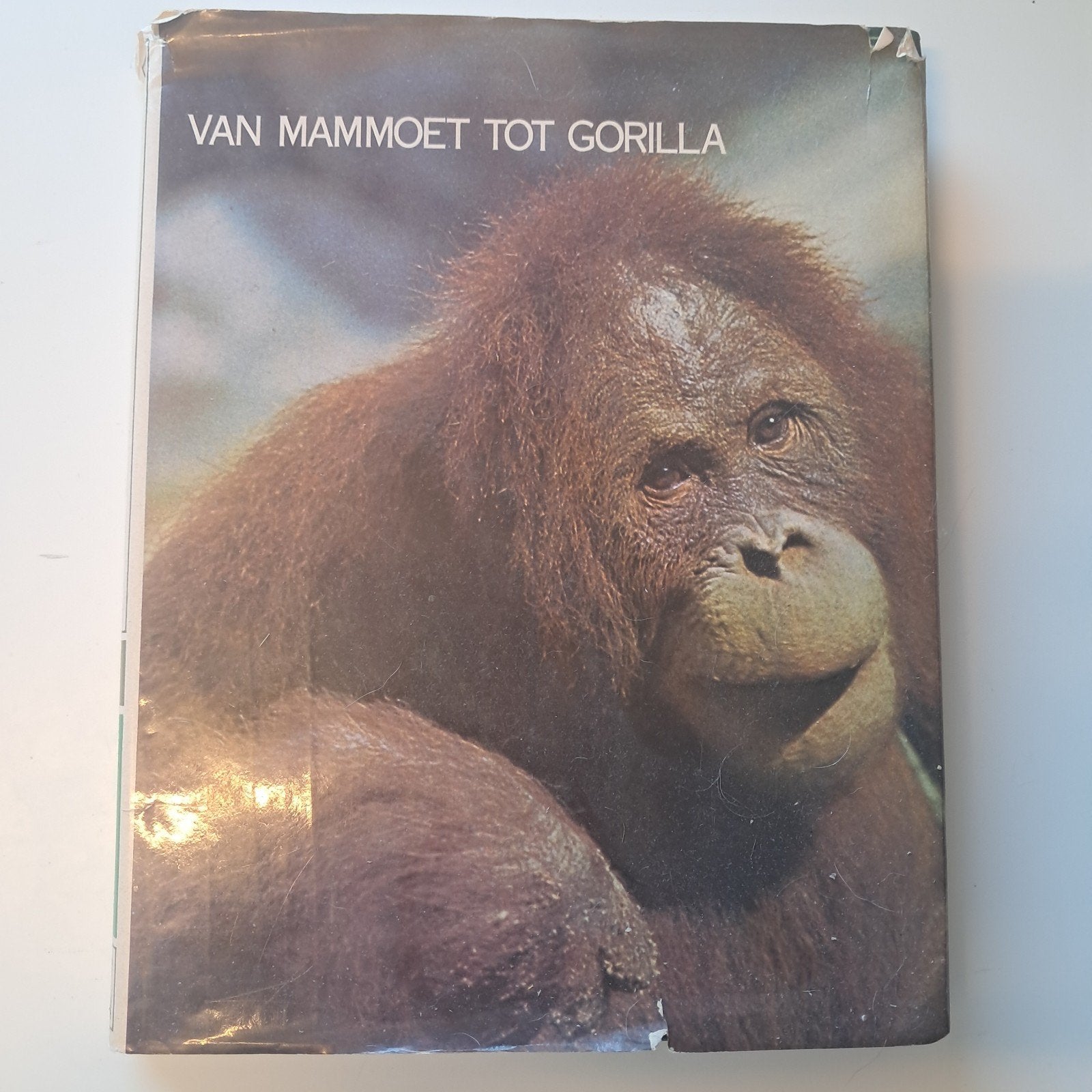dierenboek, Ophalen of Verzenden, Gelezen, Natuur algemeen
