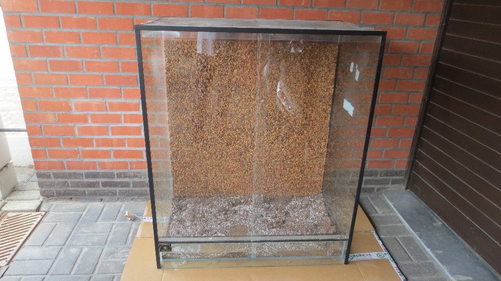 terrarium, Dieren en Toebehoren, Amfibie, 3 tot 6 jaar
