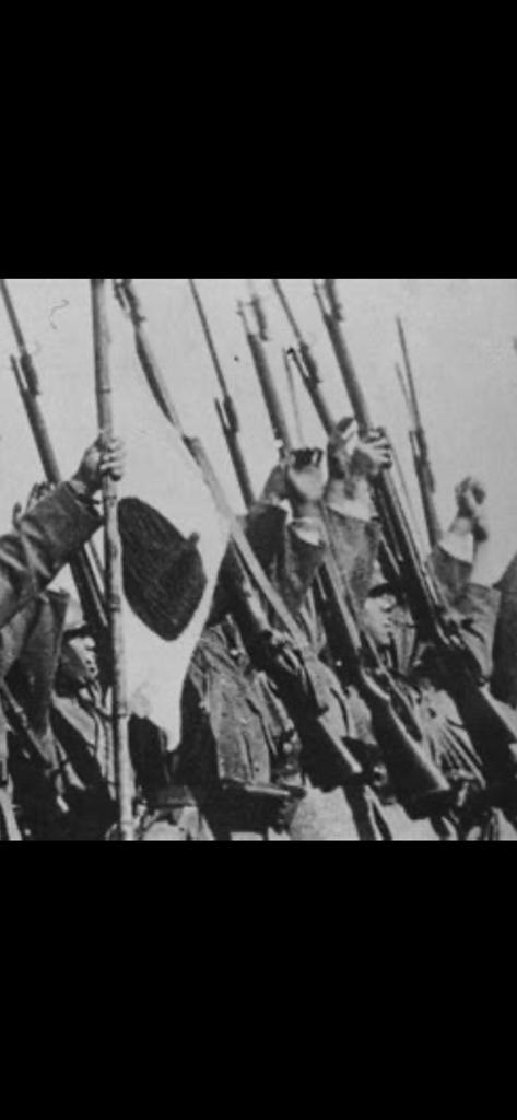 Vintage Japan Arisaka Type 38, Enlèvement