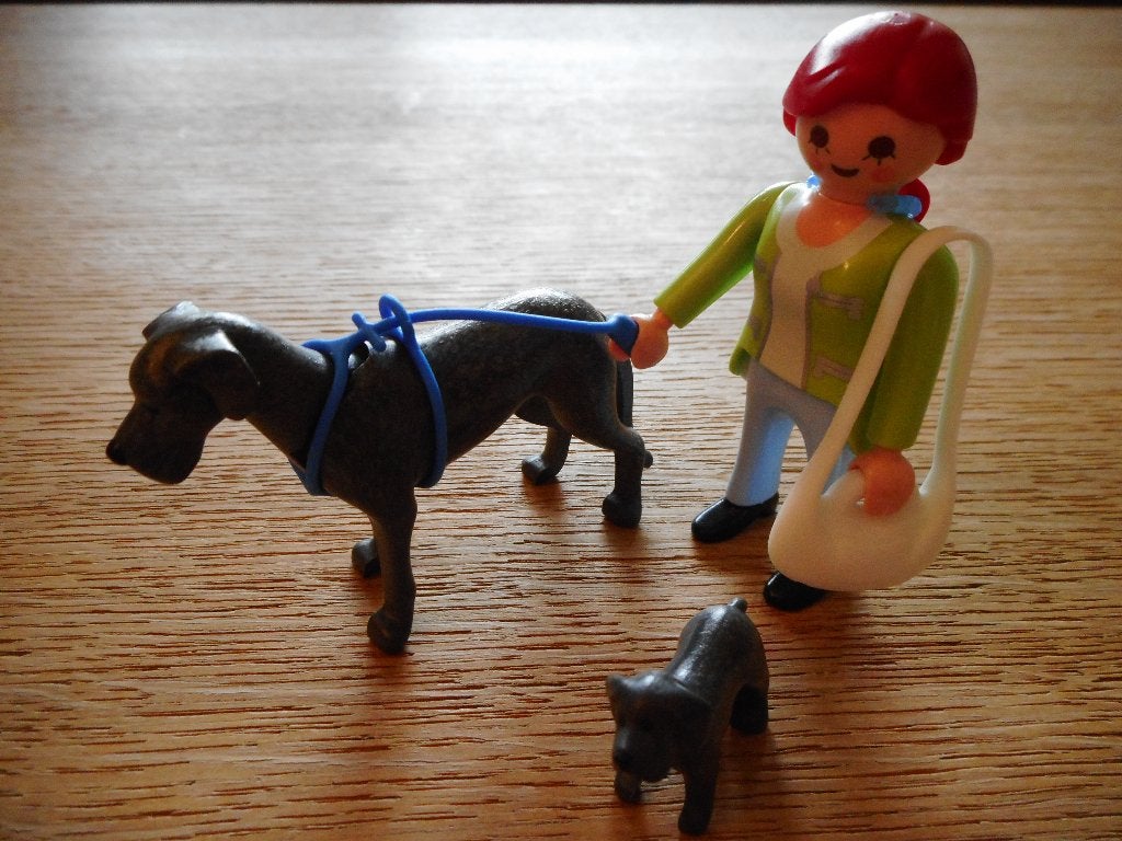 Playmobil 5210 - Duitse dog met puppy, Ophalen of Verzenden, Zo goed als nieuw, Complete set