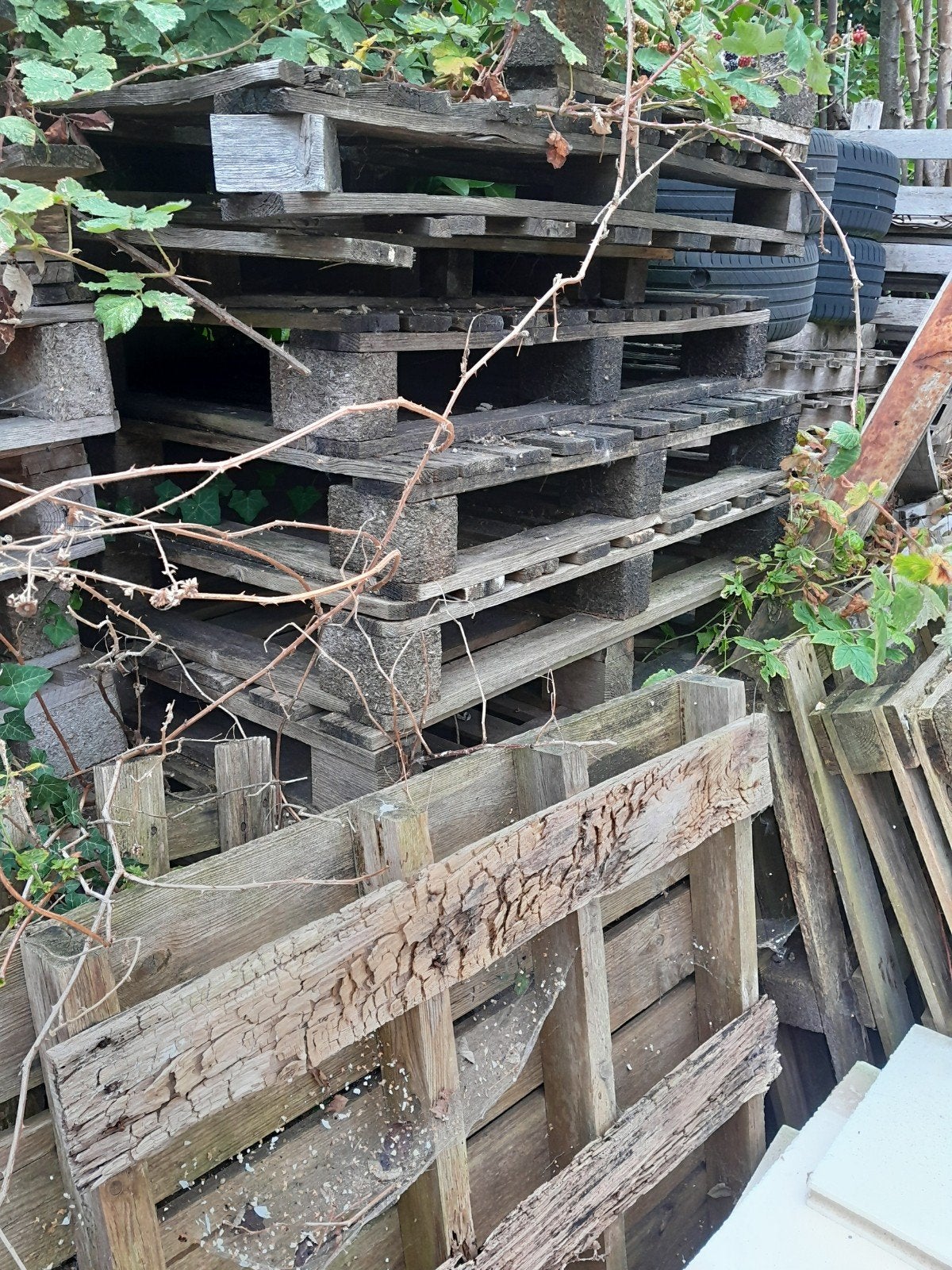 Gratis brandhout, Tuin en Terras, Ophalen