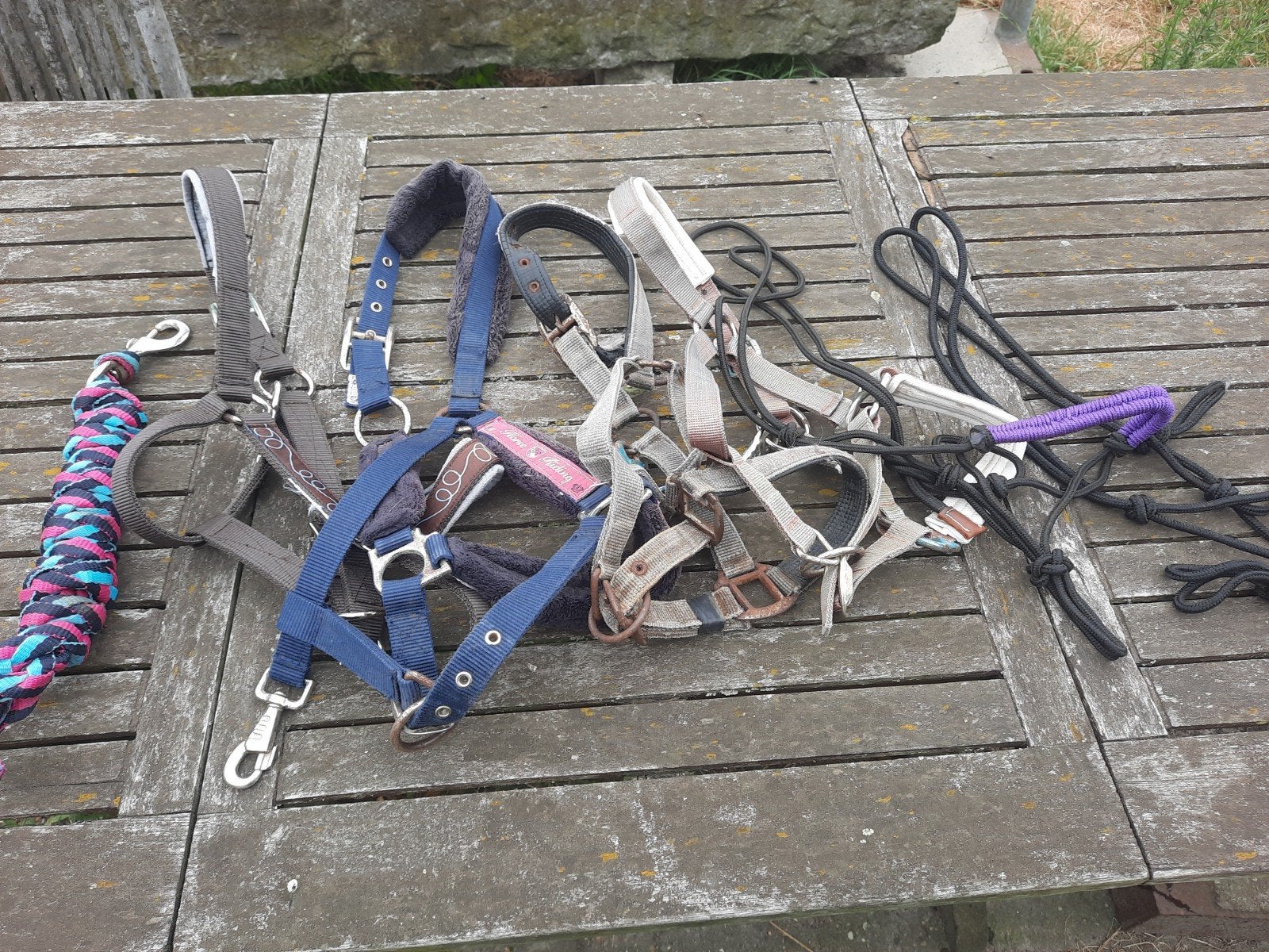 4 halsters + 2 touwhalsters + halstertouw, Animaux & Accessoires, Chevaux & Poneys | Brides & Harnachement, Multicolore, Enlèvement ou Envoi
