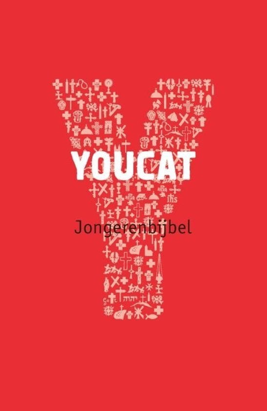 YOUCAT – Jongerenbijbel, Boeken, Godsdienst en Theologie, Ophalen of Verzenden, Gelezen